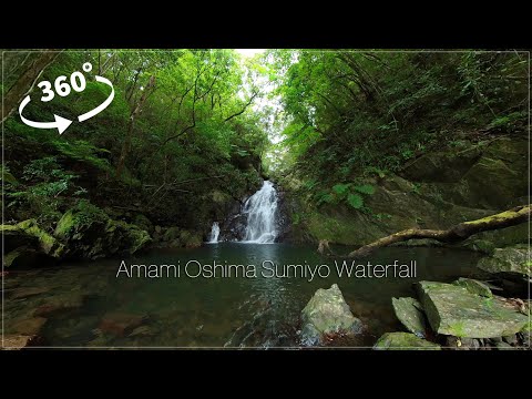 奄美大島住用の滝【Amami Oshima Sumiyo Waterfall】