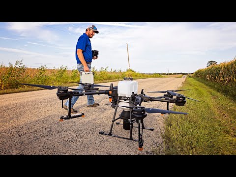 Spreading Nitro Radish Airborne - DJI Agras T20 Drone