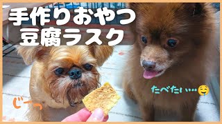 【犬の手作りおやつ】ダイエット中の愛犬にヘルシーな豆腐のおやつ作ってみた!!