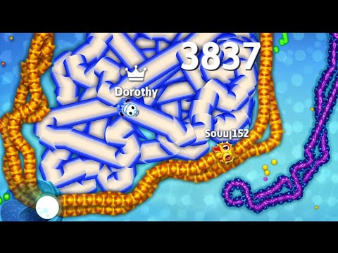 Snake oi 🐍 I trapped the king 👑 most delicious snake 🐍 Snake Gameplay