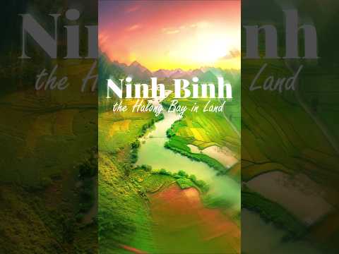 Discover Ninh Binh: Vietnam's Hidden Gem 🌿 #travel #lake #vietnamexploration #nature #shorts #lake