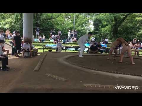 【わんぱく相撲】関東小学生相撲大会神奈川県予選会😃小学4年生以下、6年生の部💪2022.6.19(日)【葵相撲道場】