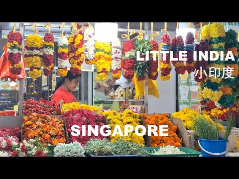 Little India Singapore (லிட்டில் இந்தியா) 小印度新加坡 2024 #littleindiasingapore #littleindiasg