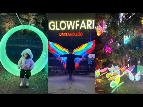 GLOFARI Oakland Zoo | 動物園夜間的特別活動！