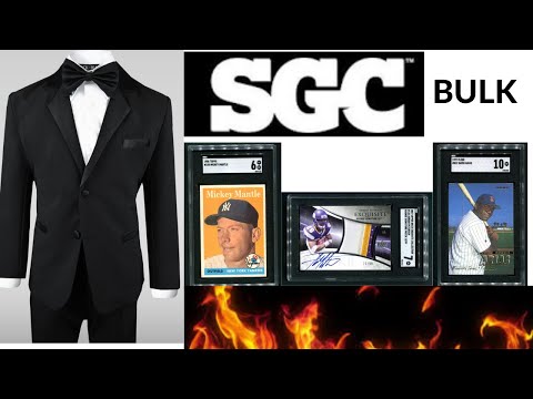 SGC Bulk Black Tuxedo Show