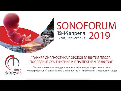 SONOFORUM 2019