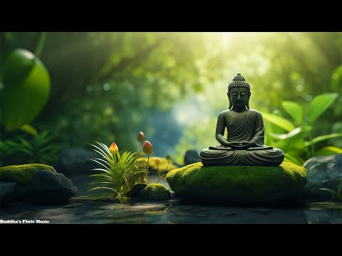 Buddha's Flute : Harmony of the Heart | Healing Music for Meditation and Inner Balance