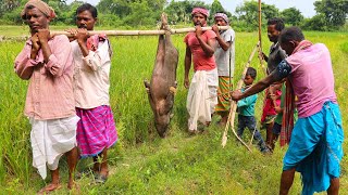 How to Clean and Cook full 50 kg PIG in their village style | BIG PORK meat cooking by tribal people