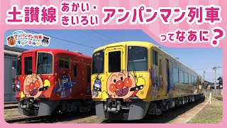 【JR四国公式】土讃線あかい・きいろいアンパンマン列車ってなあに？