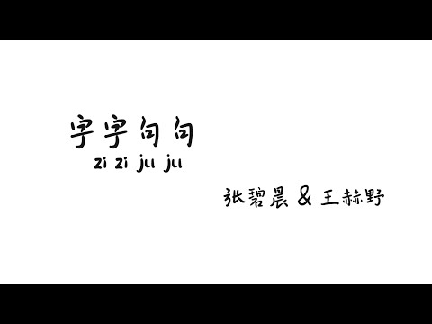 字字句句 zizijuju- 张碧晨&王赫野【Lyrics 歌词】（他字字未提喜欢你...你句句都是我愿意...他一句寂寞时候的回应...你却激动不已...）