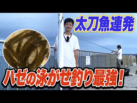 【横須賀うみかぜ公園】ハゼを泳がせた瞬間に太刀魚が食う！ハゼ泳がせ釣り最強説浮上！まさかのヒット率80%超え...