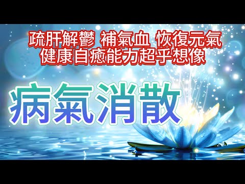 消除 業力  【藍蓮花的祝福：病氣消散！淨化身體磁場】健康的自愈能力超乎想像！用於恢復元氣、改善情緒、健康損傷、大病修復、疲勞、亞健康、損傷逆轉、提升免疫力、補氣血、疏肝解鬱。（人類、哺乳動物都可用）