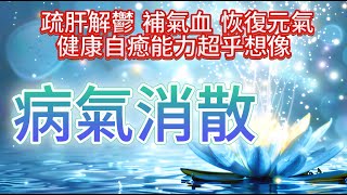 消除 業力  【藍蓮花的祝福：病氣消散！淨化身體磁場】健康的自愈能力超乎想像！用於恢復元氣、改善情緒、健康損傷、大病修復、疲勞、亞健康、損傷逆轉、提升免疫力、補氣血、疏肝解鬱。（人類、哺乳動物都可用）