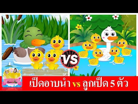 เป็ดอาบน้ำ vs ลูกเป็ด 5 ตัว