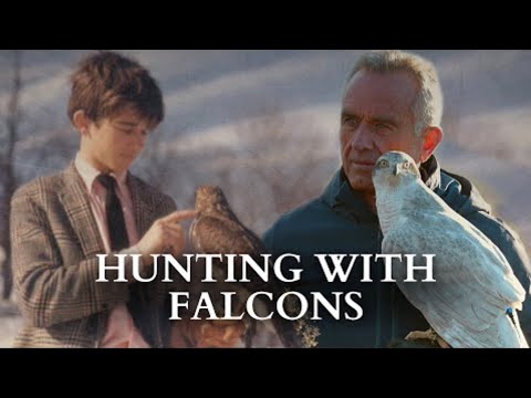 RFK Jr  Describes His Lifelong Love Of Falconry