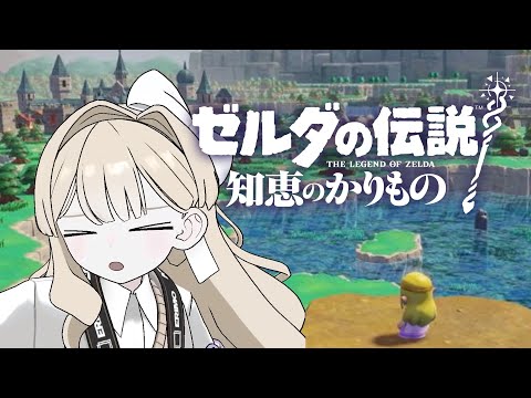 【ゼルダの伝説 知恵のかりもの】てーねーなゼルダするのだわ！【エリモ】