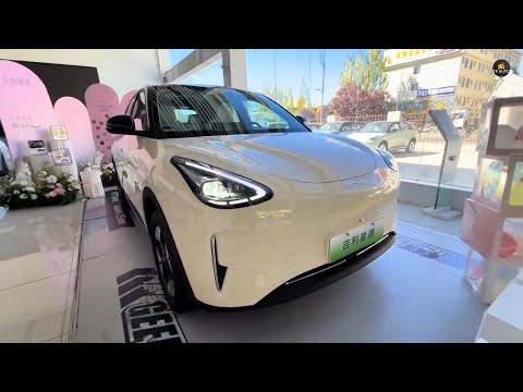 Geely Geome XingYuan ev