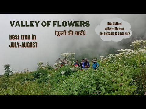 Valley of Flowers Trek | Valley of Flowers trek in July | Uttarakhand | Heaven on Earth