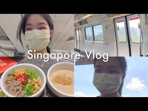 Vlog/ 新加坡海底捞初体验🥰Submit finals project💦 Somerset Weekend Walk during pandemic🍃/Malaysian in SG life