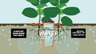 The Thirsty Earth Garden Watering System