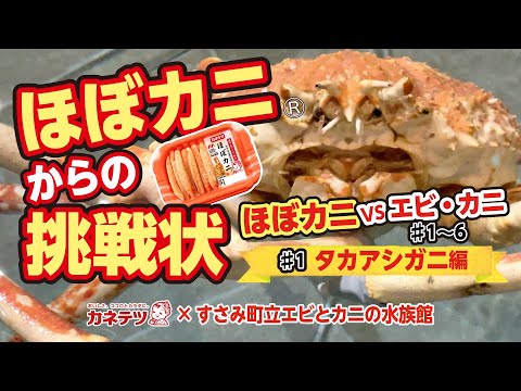 ほぼカニからの挑戦状　～＃1タカアシガニ編～