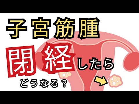 【子宮筋腫】閉経したら必ず小さくなる？？《整体院の事例》をお伝えします