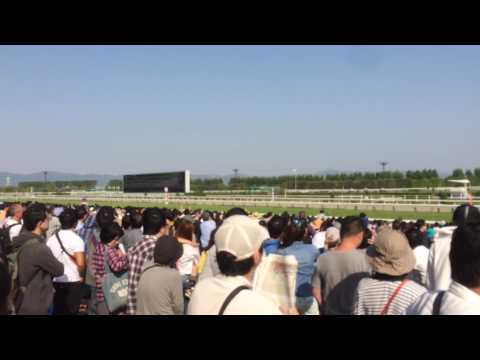 【現地中継】G1 天皇賞（春）2017.4.30 キタサンブラック