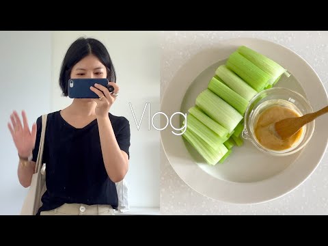 Vlog 🧳 Taste of Travel - Celery & Miso | Yummy Teo Chew Porridge | Grocery Shopping | Singapore Vlog