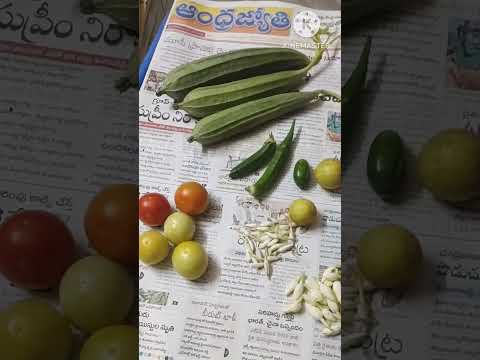 Evening Harvest from my terrace garden