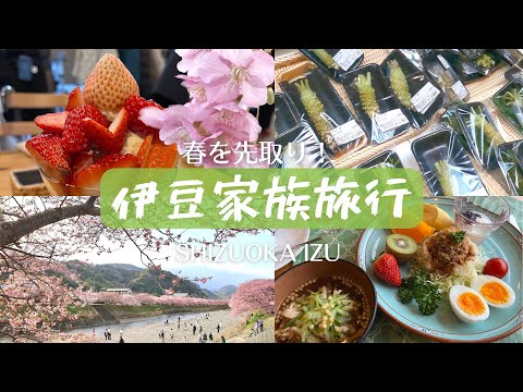 【静岡】春を先取り！伊豆旅/河津桜/いちご/伊豆ペンション