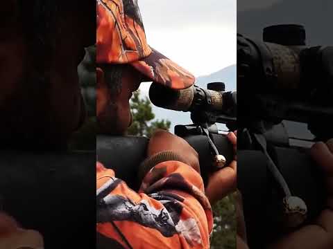 Perfect Headshot - Süper Domuz Vuruş #hunting #wildboar