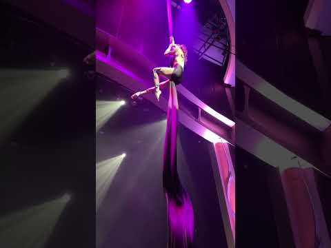 #shorts Royal Caribbean - Duo Quintessence - Aerialist & Acrobat Show