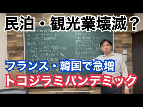 アフターコロナで戻ってきた民泊・観光ビジネスが壊滅する？フランスや韓国で急増中のトコジラミのパンデミックが、ヤバすぎる理由について徹底解説