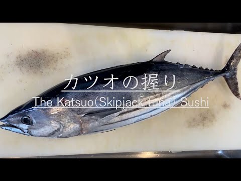 【江戸前寿司】カツオを仕入れて仕込みから握り寿司になるまでを紹介　How to make Katsuo(vinegared bonito) Sushi