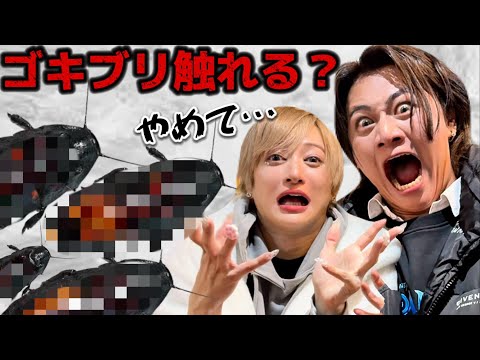 【ゴキブリはもうイヤ😱】ドイツ村さんコラボ！