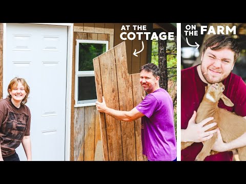 the *Tiny Cottage* PROJECT begins!!!