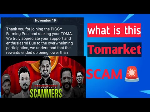 tomarket stake, tomarket piggy piggy farming, @CryptoKingKeyur @AizazEngineer @TechRanjan scam