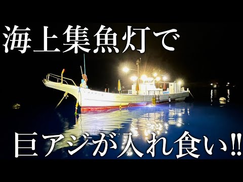 足元サビキで巨アジが入れ食い！限界まで集魚灯を灯した係留船の魚影がヤバすぎる…