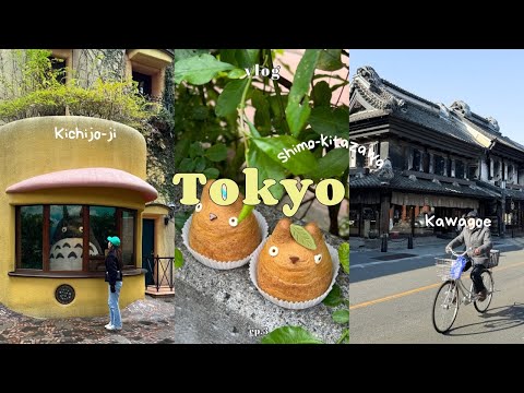 東京VLOG｜日本下北澤.吉祥寺.川越三日遊｜吉卜力美術館感動哭｜川越百年老店鰻魚飯｜挽肉與米吉祥寺店｜超美味油花爆擊炸豬排｜下北澤文青街區Reload Tokyo Vlog ep.3