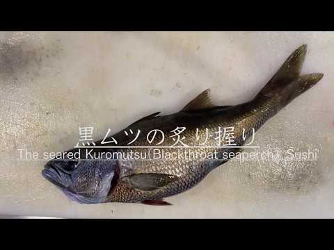 【高級魚黒ムツ】鮨屋の仕込み！炙り握り寿司になるまで！How to make the Kuromutsu(seared blackthroat seaperch) Sushi.