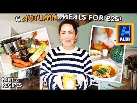 5 Meals For UNDER £25 From Aldi | Easy Budget AUTUMN/FALL Family Meals | 5 For £25 Meals Part 2