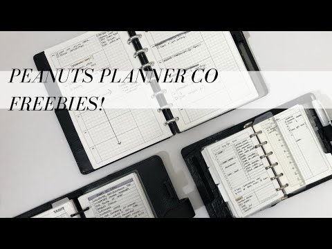 PEANUTS PLANNER CO FREEBIES AND HOW TO USE THEM | SYSTEMATIC MADDIE