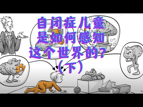 自闭症儿童如何感知世界（下）自闭症：刻板世界中的非典型思维 Autism Spectrum: Atypical Minds in a Stereotypical World