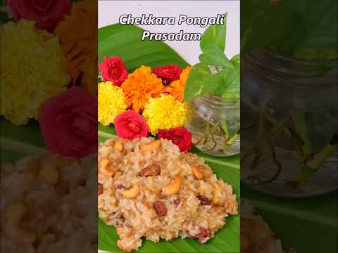 Prasadam Chekkara Pongali l Day 31 #sravanamasam #prasadam #chekkarapongali #vinayakachavithi