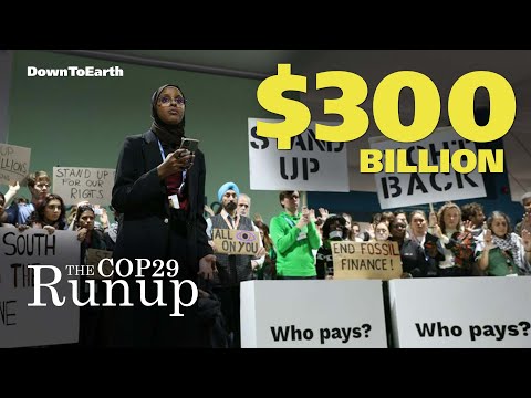 COP 29: What does the $300B mean for the global south?