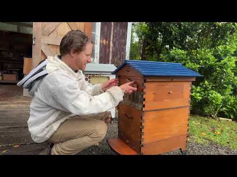 Tips & Tricks with the Flow Hive �