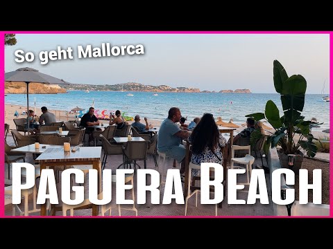 Paguera Beach August 2023