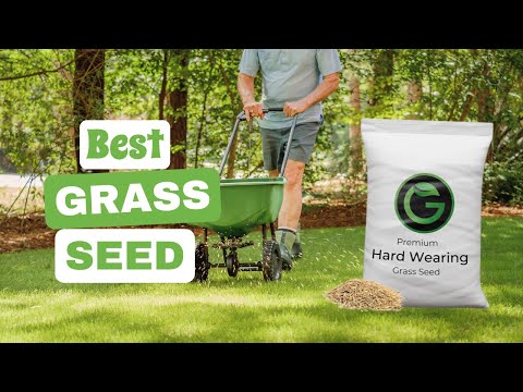 Best Grass Seed: Your Path to a Lush and Beautiful Lawn | The Guardians Choice