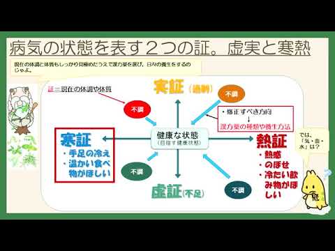 はじめての漢方e-learning 「漢方の基礎知識を学ぶ」第三章　～未病チェックシートで知るあなたの体質「証」～