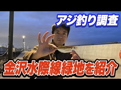 【金沢水際線緑地】生まれ変わった福浦岸壁の施設紹介とサビキでのアジ釣り調査！些か気になるルール無視の実態...